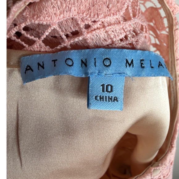 Antonio Melani Floral Detail Lace Sheath Midi‎ Dress size 10 Pink - Picture 2 of 7